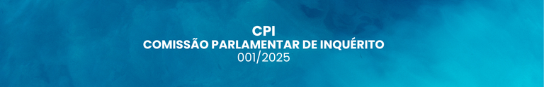 CPI 001/2025