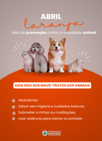 Campo Novo do Parecis institui campanha Abril Laranja para combate à crueldade animal