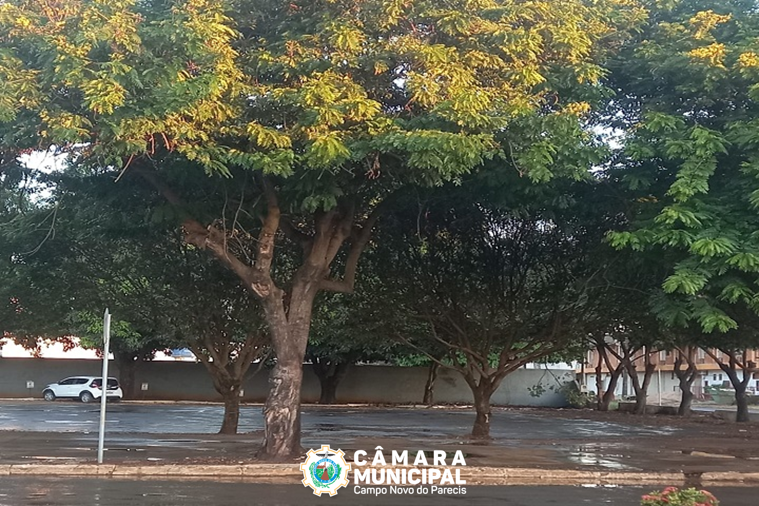 Cobranças de vereador resulta em ação da secretaria de assistência social