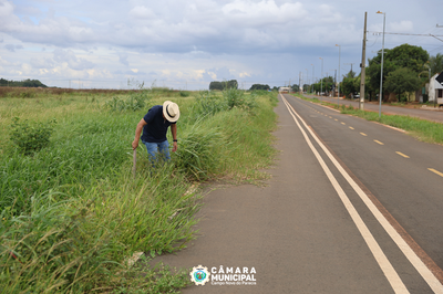 Vereador cobra limpeza e atenção com a infraestrutura de espaços públicos após reivindicações da população